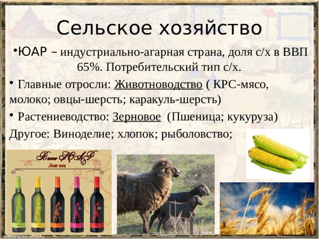 Сельское хозяйство ЮАР – индустриально-агарная страна, доля с/х в ВВП 65%. Потребительский тип с/х.  Главные отросли: Животноводство ( КРС-мясо, молоко; овцы-шерсть; каракуль-шерсть)  Растениеводство: Зерновое (Пшеница; кукуруза) Другое: Виноделие; хлопок; рыболовство; 