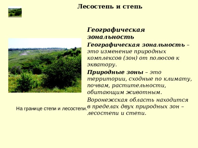 Почему размещение почв дальнего востока отличается от схемы зональности русской равнины кратко