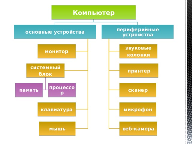 Компьютер основные устройства периферийные устройства звуковые монитор колонки системный принтер блок сканер процессор память клавиатура микрофон мышь веб-камера 