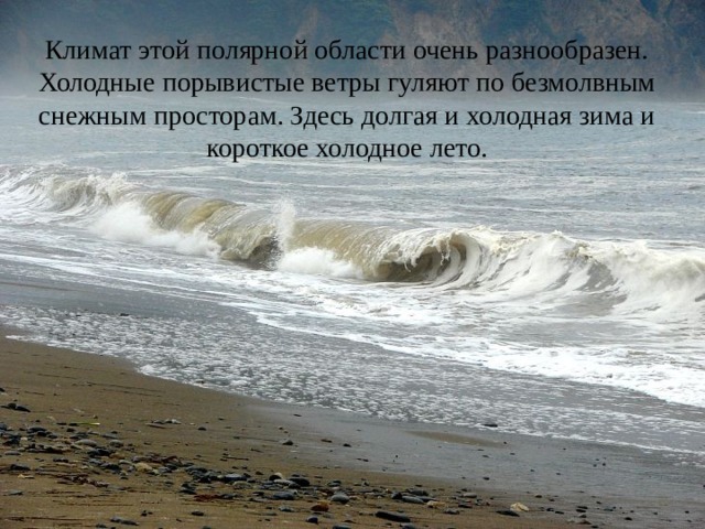 Климат этой полярной области очень разнообразен. Холодные порывистые ветры гуляют по безмолвным снежным просторам. Здесь долгая и холодная зима и короткое холодное лето. 