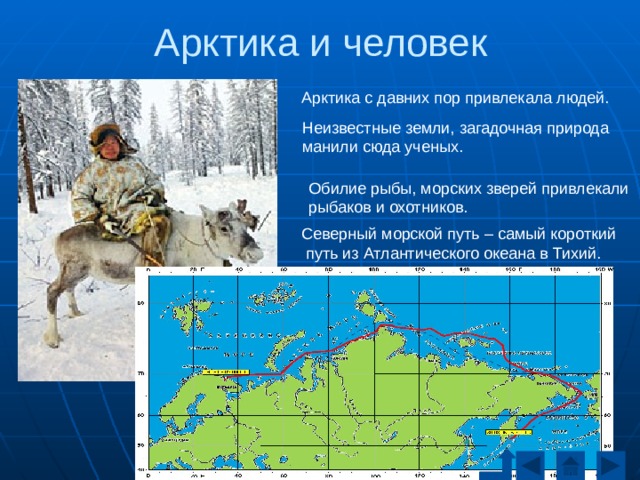Арктика и человек Арктика с давних пор привлекала людей. Неизвестные земли, загадочная природа манили сюда ученых. Обилие рыбы, морских зверей привлекали рыбаков и охотников. Северный морской путь – самый короткий  путь из Атлантического океана в Тихий. 