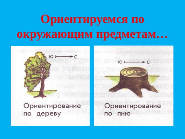 Ориентироваться на дату. Ориентирование по окружающим предметам. Ориентирование по местным предметам. Ориентирование на местности по местным признакам. Ориентирование по природным признакам.