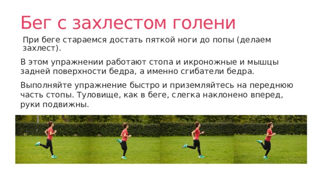Бег с захлестом голени При беге стараемся достать пяткой ноги до попы (делаем захлест). В этом упражнении работают стопа и икроножные и мышцы задней поверхности бедра, а именно сгибатели бедра. Выполняйте упражнение быстро и приземляйтесь на переднюю часть стопы. Туловище, как в беге, слегка наклонено вперед, руки подвижны. 