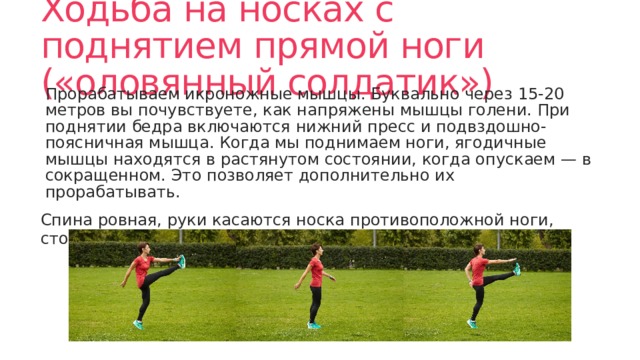 Ходьба на носках с поднятием прямой ноги («оловянный солдатик») Прорабатываем икроножные мышцы. Буквально через 15-20 метров вы почувствуете, как напряжены мышцы голени. При поднятии бедра включаются нижний пресс и подвздошно-поясничная мышца. Когда мы поднимаем ноги, ягодичные мышцы находятся в растянутом состоянии, когда опускаем — в сокращенном. Это позволяет дополнительно их прорабатывать. Спина ровная, руки касаются носка противоположной ноги, стопа сокращена на себя. 