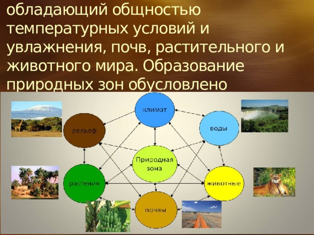 Географическая оболочка карта