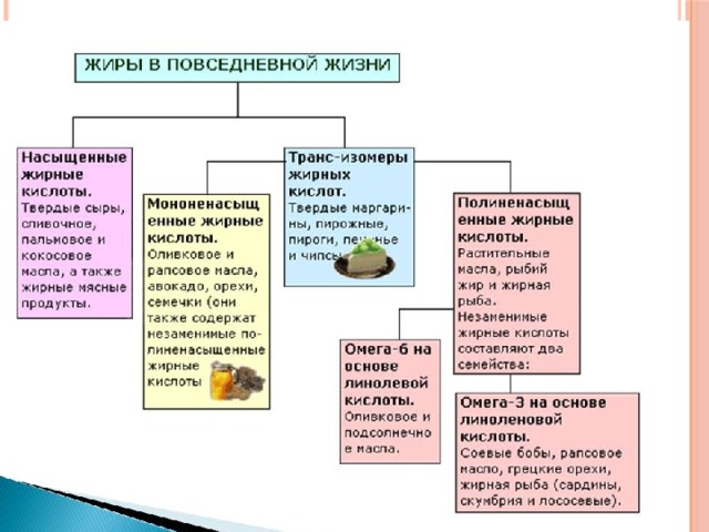 Товароведная характеристика пищевых жиров презентация