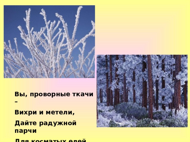 Вы, проворные ткачи – Вихри и метели, Дайте радужной парчи Для косматых елей… 