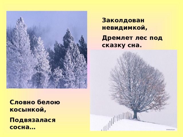 Как называется изображение неживой природы как живого существа дремлет лес под сказку сна