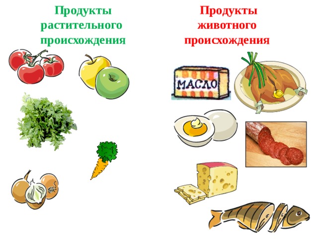 Другой продукт. Витамины животного происхождения. Витамины в продуктах животного происхождения. Продукты животного происхождения основной источник. Витамины в продуктах животного и растительного происхождения.