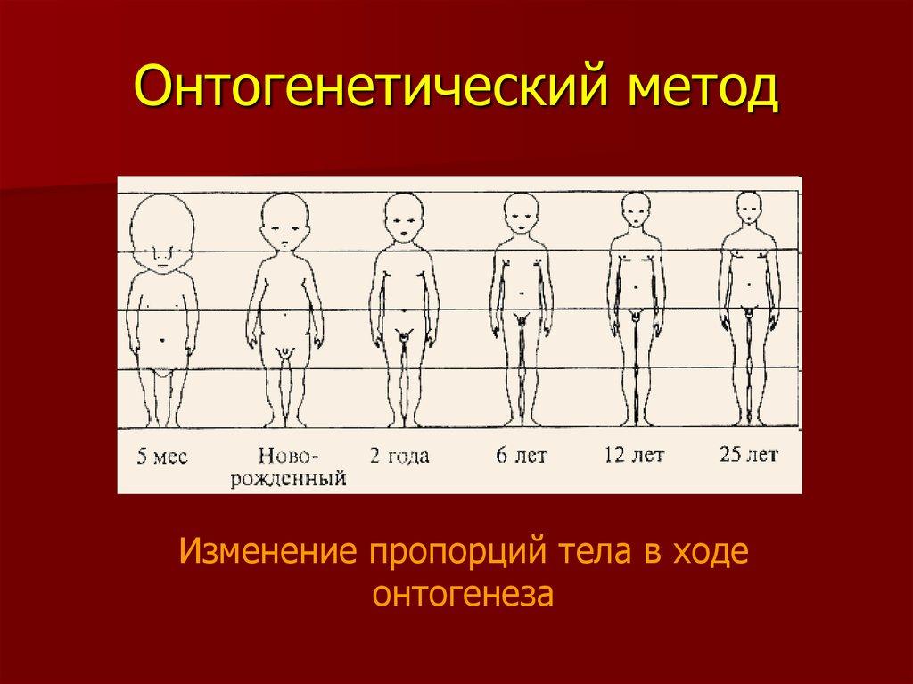 Назовите метод генетики. Онтогенетический метод генетики. Онтогенетический метод генетики пример. Генетические методы в онтогенезе. Метод изучения онтогенеза.