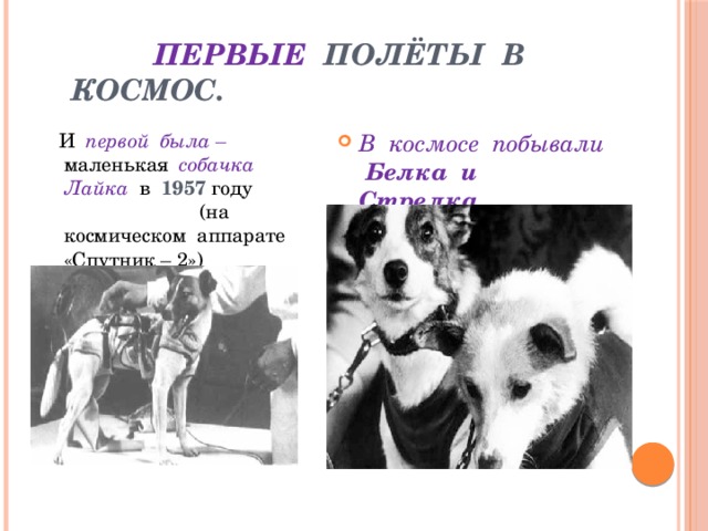  Первые полёты в космос.  И первой была – маленькая собачка   Лайка в 1957 году (на космическом аппарате «Спутник – 2») В космосе побывали Белка и Стрелка. 