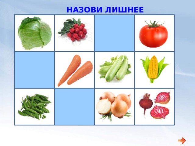 НАЗОВИ ЛИШНЕЕ 