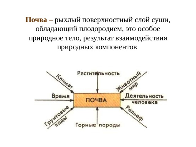 Почва – рыхлый поверхностный слой суши, обладающий плодородием, это особое природное тело, результат взаимодействия природных компонентов  