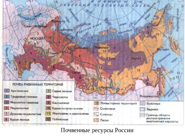 Почвенные ресурсы России  