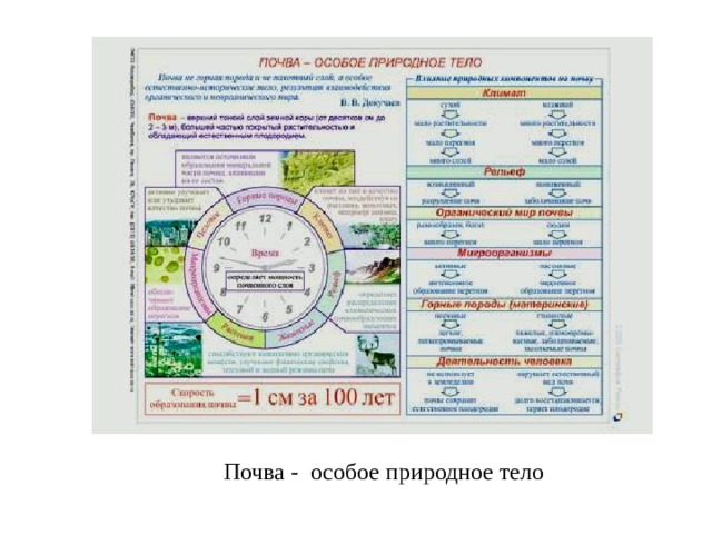 Почва - особое природное тело 