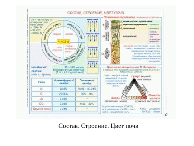 Состав. Строение. Цвет почв  