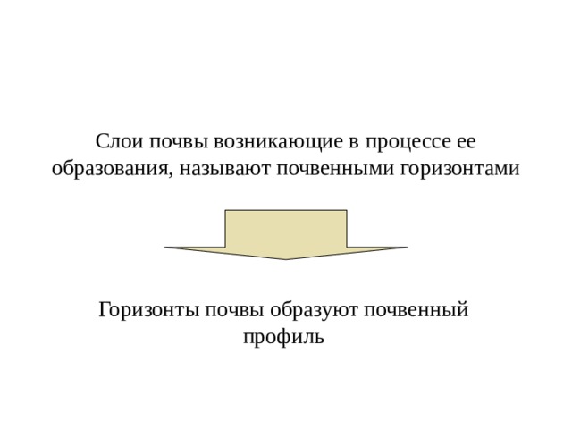 Слои почвы возникающие в процессе ее образования, называют почвенными горизонтами Горизонты почвы образуют почвенный профиль  
