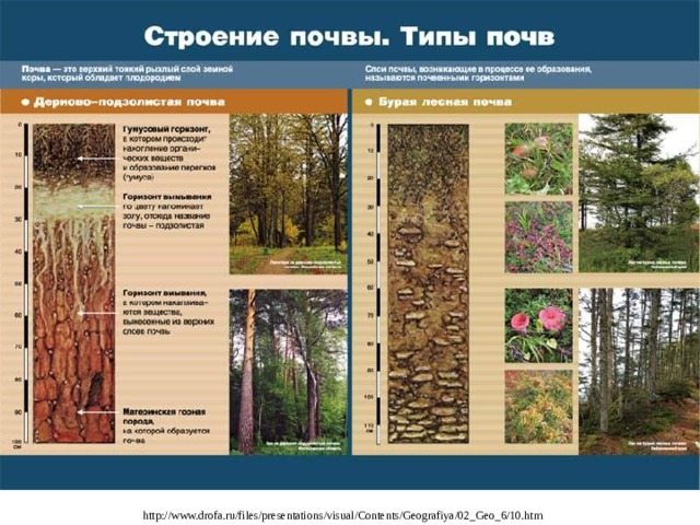 http://www.drofa.ru/files/presentations/visual/Contents/Geografiya/02_Geo_6/10.htm  
