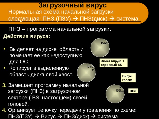 Опишите схему функционирования загрузочного вируса кратко