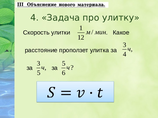 Какой путь проползет улитка по стволу