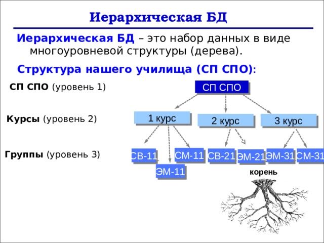 Примером иерархической базы данных является