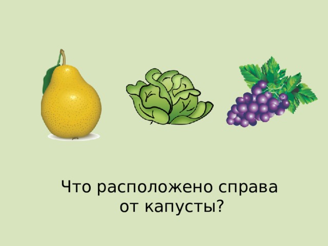 Что расположено справа от капусты? 