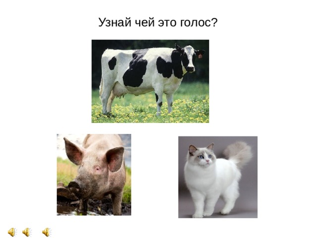  Узнай чей это голос? 