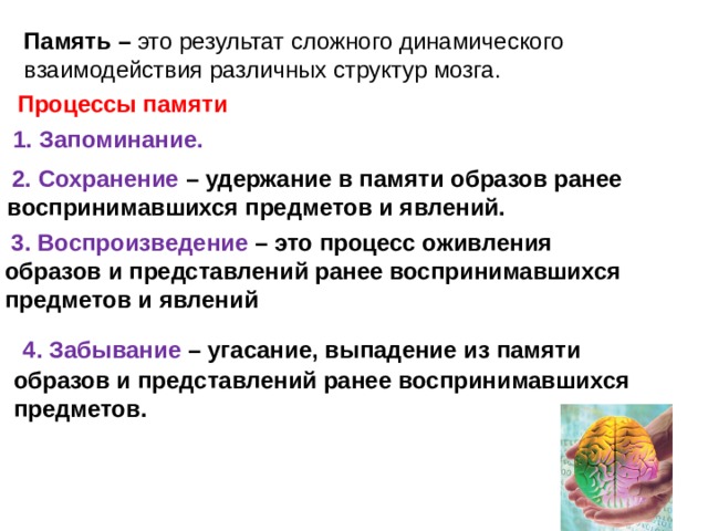 Память – это результат сложного динамического взаимодействия различных структур мозга. Процессы памяти    1. Запоминание.  2. Сохранение – удержание в памяти образов ранее воспринимавшихся предметов и явлений.  3. Воспроизведение – это процесс оживления образов и представлений ранее воспринимавшихся предметов и явлений  4. Забывание – угасание, выпадение из памяти образов и представлений ранее воспринимавшихся предметов. 