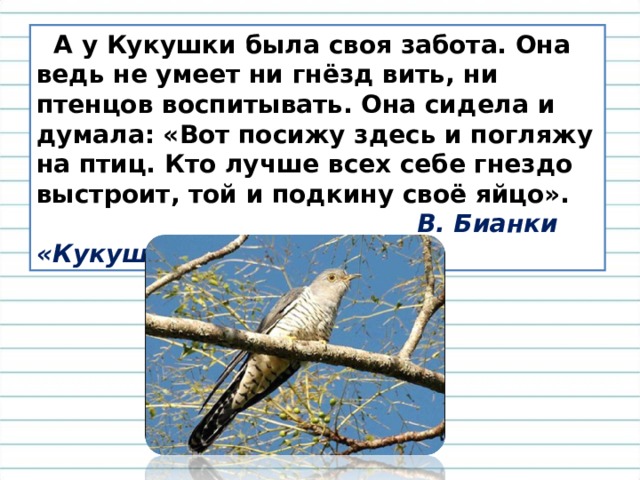  А у Кукушки была своя забота. Она ведь не умеет ни гнёзд вить, ни птенцов воспитывать. Она сидела и думала: «Вот посижу здесь и погляжу на птиц. Кто лучше всех себе гнездо выстроит, той и подкину своё яйцо».  В. Бианки «Кукушонок» 