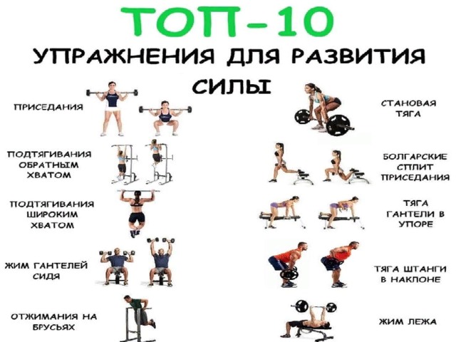 В какое время меньше всего людей в тренажерном зале