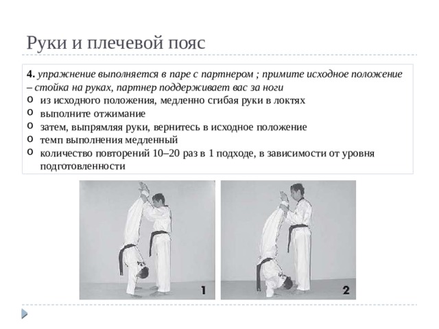 Руки и плечевой пояс 4. упражнение выполняется в паре с партнером ; примите исходное положение – стойка на руках, партнер поддерживает вас за ноги из исходного положения, медленно сгибая руки в локтях выполните отжимание затем, выпрямляя руки, вернитесь в исходное положение темп выполнения медленный количество повторений 10–20 раз в 1 подходе, в зависимости от уровня подготовленности 