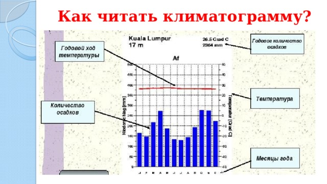 Как читать климатограмму? 