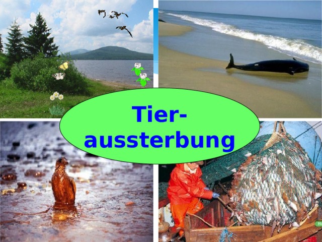  Tier- aussterbung  