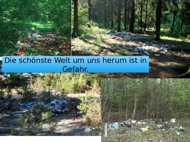Die schönste Welt um uns herum ist in Gefahr. 