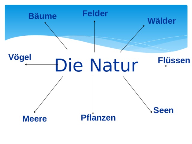 Felder Bäume Wälder Vögel Die Natur Flüssen Seen Pflanzen Meere 