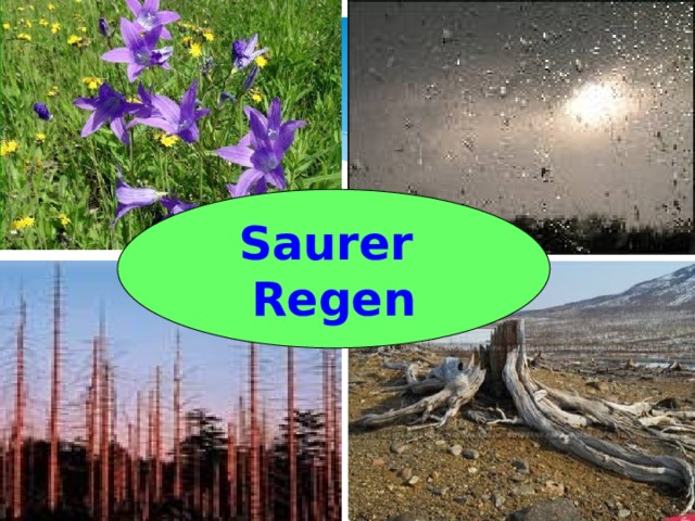 Saurer Regen 