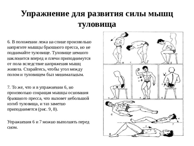 Распределите картинки с упражнениями на 3 категории 1 упражнения для мышц туловища