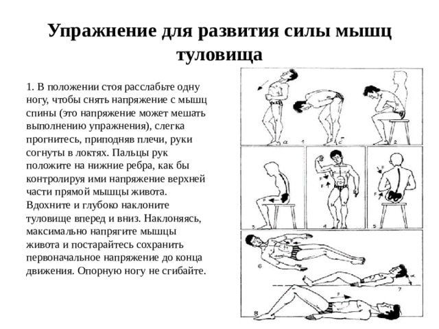 Проект на тему развитие силы и мышц