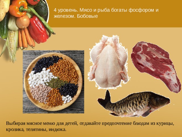 4 уровень. Мясо и рыба богаты фосфором и железом. Бобовые Выбирая мясное меню для детей, отдавайте предпочтение блюдам из курицы, кролика, телятины, индюка. 