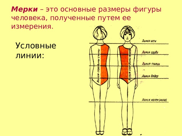 Какие мерки необходимы для построения чертежа фартука