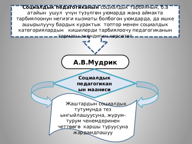 Социалдык педагогиканын социалдык тарбиянын, б.а атайын ушул үчүн түзүлгөн уюмарда жана аймакта тарбиялоонун негизги кызматы болбогон уюмдарда, да ишке ашырылуучу бардык курактык топтор менен социалдык категориялардын кишилерди тарбиялоочу педагогиканын тармагы экендигин көрсөтөт А.В.Мудрик Социалдык педагогиканын мааниси  Жаштардын социалдык тутумунда тез ынгыйлашуусуна, жүрум-турум ченемдеринен четтөөгө каршы туруусуна жардамдпашуу 