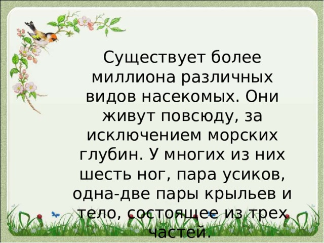 Существует более миллиона различных видов насекомых. Они живут повсюду, за исключением морских глубин. У многих из них шесть ног, пара усиков, одна-две пары крыльев и тело, состоящее из трех частей. 