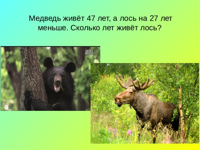 Медведь живёт 47 лет, а лось на 27 лет меньше. Сколько лет живёт лось? 