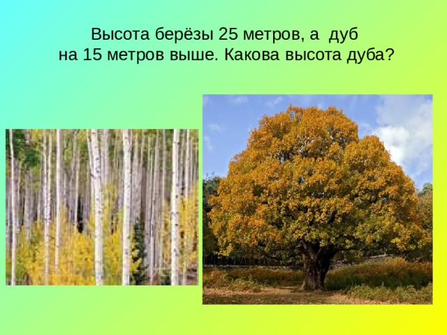 Высота берёзы 25 метров, а дуб  на 15 метров выше. Какова высота дуба? 