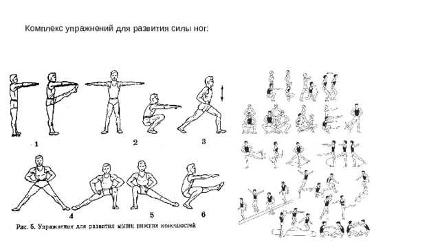 Комплекс силы. Комплекс упражнений для развития силы мышц ног. Упражнения на развитие силы 3 класс. Упражнения для развития силы 5 класс. Комплекс ору на развитие силы.