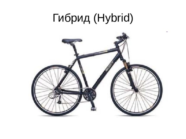 Гибрид (Hybrid) 
