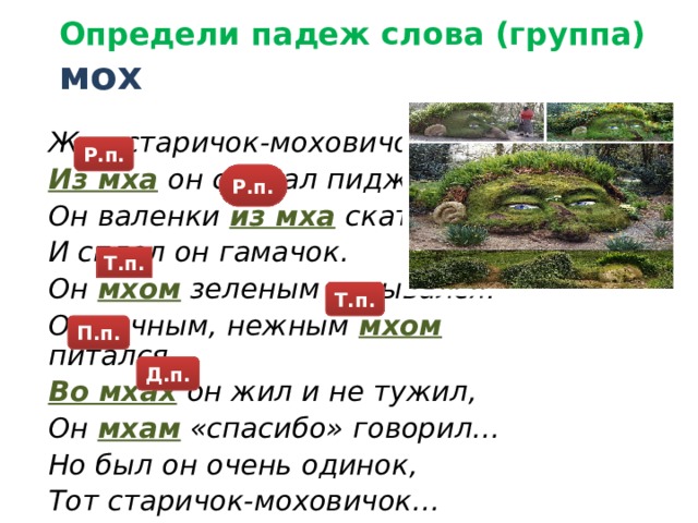 Определи падеж слова (группа) мох Жил старичок-моховичок, Из мха  он сделал пиджачок, Он валенки из мха  скатал И сплел он гамачок. Он  мхом  зеленым укрывался. Он сочным, нежным  мхом питался, Во мхах  он жил и не тужил, Он мхам «спасибо» говорил… Но был он очень одинок, Тот старичок-моховичок… Р.п. Р.п. Т.п. Т.п. П.п. Д.п. 21 