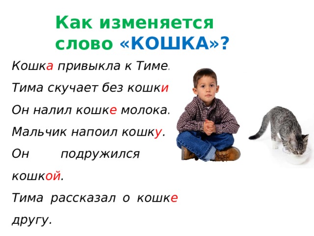 Как изменяется слово «КОШКА»? Кошк а привыкла к Тиме. Тима скучает без кошк и . Он налил кошк е молока. Мальчик напоил кошк у . Он подружился с кошк ой . Тима рассказал о кошк е другу.  