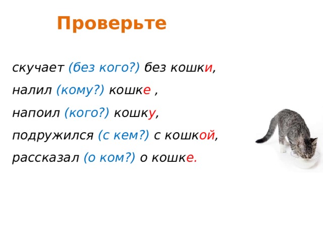 Проверьте скучает (без кого?) без кошк и , налил (кому?) кошк е , напоил (кого?) кошк у , подружился (с кем?) с кошк ой , рассказал (о ком?) о кошк е.  