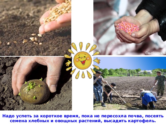 Надо успеть за короткое время, пока не пересохла почва, посеять семена хлебных и овощных растений, высадить картофель. 